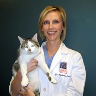 Dermatology for Animals Employee Katherine Irwin's profile photo