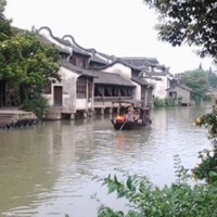 ROI Festival Employee Iris Zhao's profile photo