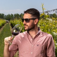 Bodegas Bianchi Employee Francisco Mecca's profile photo