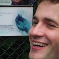 Nedform Employee Roel Collaris's profile photo