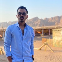 The Plug Employee Gasser Abdul-Hady's profile photo