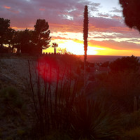 David Satcher Email & Phone Number