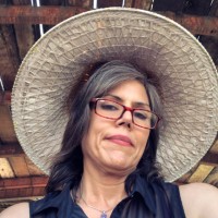 Linda Willis Email & Phone Number
