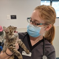 Southern Arizona Veterinary Specialty & Emergency Center Employee Samantha Bliven's profile photo
