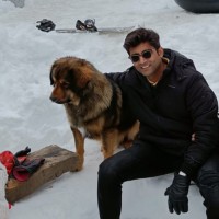 Invesco Asset Management (India) Private Limited Employee Tejas Joshi's profile photo