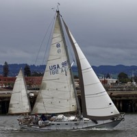 Sheldon Haynie Email & Phone Number