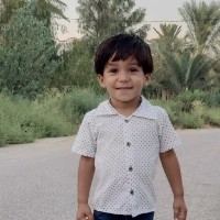 علاء كامل Email