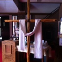 Electric Motion Company, Inc. Employee Dana Dana's profile photo