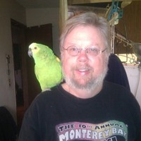 Lingo Systems Employee Michael Phoenix's profile photo