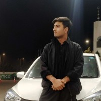 Ali Hamza Email