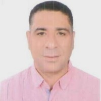 Hany Farouk Email