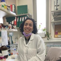 The Hebrew University of Jerusalem Employee Ofer Chen's profile photo