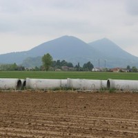 Livenza Tagliamento Acque SpA Employee Giorgio Maruzzi's profile photo