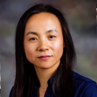 Yanli Ding Email & Phone Number