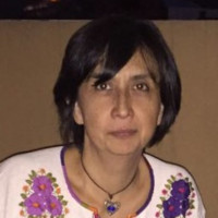 Maria Esther Mota Email