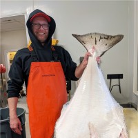 PORTLAND FISH MARKET, LLC Employee Fritz Bjornstad's profile photo