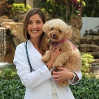 Universidad Mayor Employee Barbara Campos's profile photo