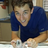 Animal Internal Medicine and Specialty Services Employee Nathaniel Kane's profile photo