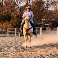 greco Employee John Nathanson's profile photo