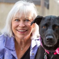 Freelance Employee Ann Wareham's profile photo