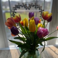 Cathy C. Email