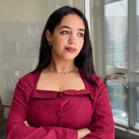 Allvidia Employee Ilham Hadi's profile photo