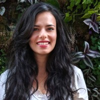 ICLEI Europe Employee Daniela Rizzi's profile photo