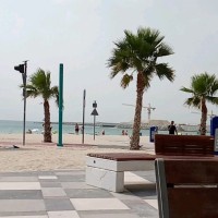 Avinash Sharma Email