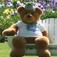 Dyna Hermann Email & Phone Number