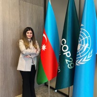 IMPACTO Employee Hamayil Naghiyeva's profile photo