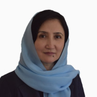 Lawyers Without Borders Employee Madina Qasimi's profile photo
