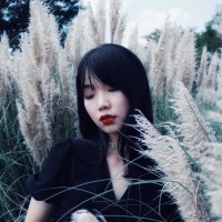 EHSY.com Employee Sissi du's profile photo