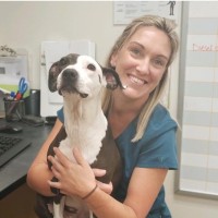 Beacon Emergency Veterinary Hospital Employee Marissa Dupuis's profile photo