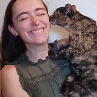 Sara Abel Email