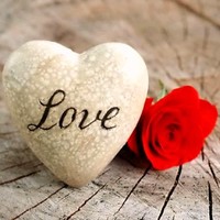 Suzanne Slayton Email & Phone Number