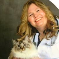 PetVet365 (We're Hiring) Employee Cathy Lambert's profile photo