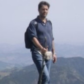 IFO Employee Marco Zucchiatti's profile photo
