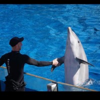 SeaWorld San Diego Employee Michael Senft's profile photo