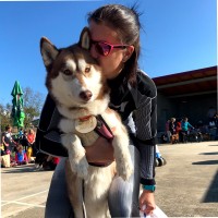 Email di Eliška Trojnová