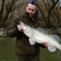 Energofish Ltd. Employee Őze Dániel's profile photo