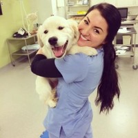 Pine Woods Animal Hospital PC Employee Rebecca Gerevics's profile photo