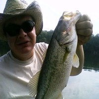 ProMark Landscaping, Inc. Employee David Baird's profile photo