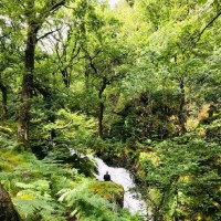 Kestrix Employee Ashley Hendry-Nunn's profile photo