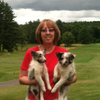 Deb Hartnett Email & Phone Number