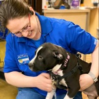 PetSmart Employee Violet Flores's profile photo