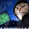 Lapsus Employee Toonces Undefined's profile photo