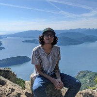 Wala Interactive Employee Krishna Hegde's profile photo