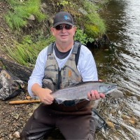 Bryan Strom Email