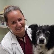 Monroe Veterinary Associates Employee Kate Gault's profile photo