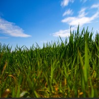 David Pollard Email & Phone Number